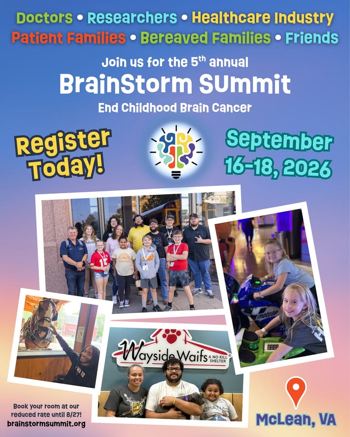 BrainStorm Summit